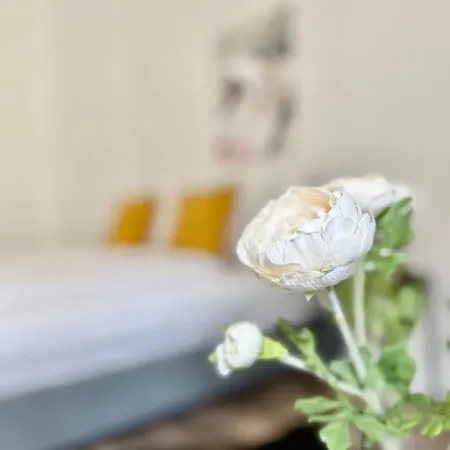 Standard By Hi5 - Tiny Studio * Budapeszt
